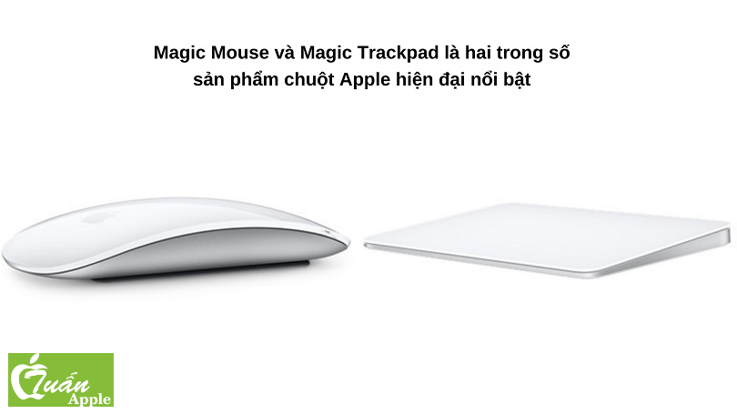 Chuột Apple Magic Mouse 2 | Chính hãng Apple Việt Nam
