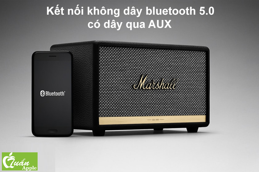 Loa Bluetooth Marshall Acton 2