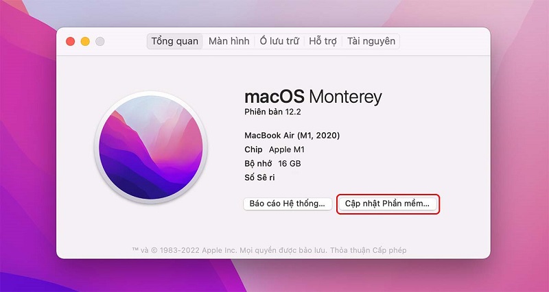 Cập nhật hệ điều hành Macos khắc phục tình trạng macbook không nhận mạng dây