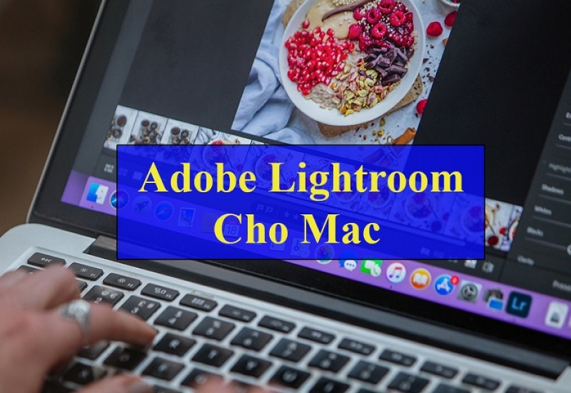 Giới thiệu Lightroom