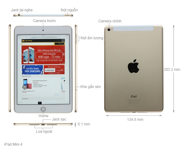 Kích thước iPad Mini 4 (2015)