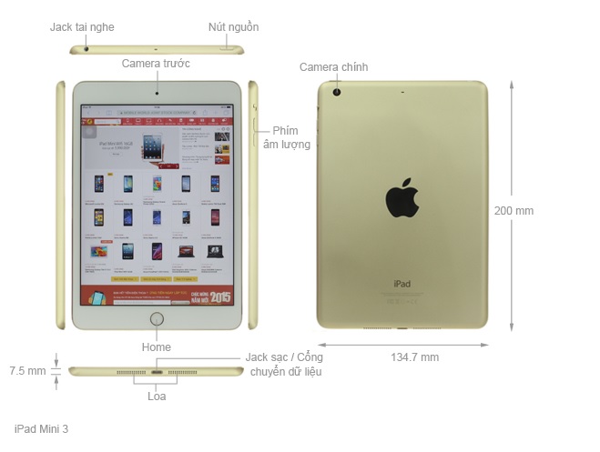Kích thước iPad Mini 3 (2014)